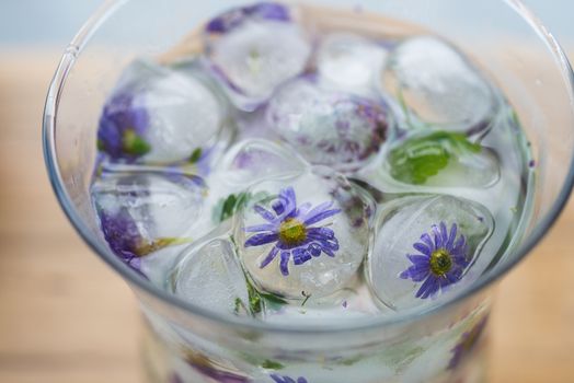 Ice cubes with flowers in water