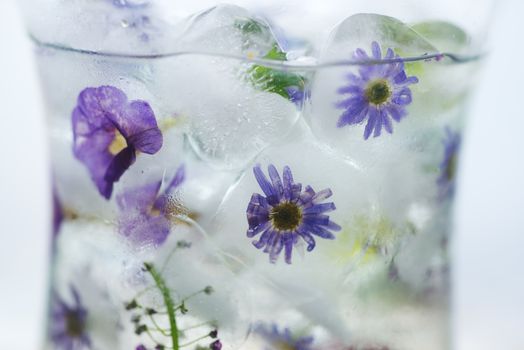 Ice cubes with flowers in water