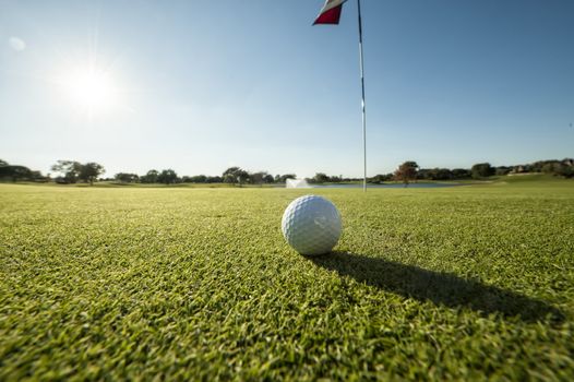 Image of a Golf ball on green shot from a low angle and close to flag