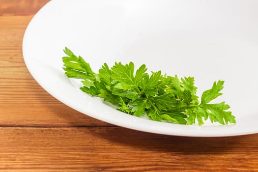 Background of fragment of a white dish with bunch of fresh green parsley closeup on a wooden surface
