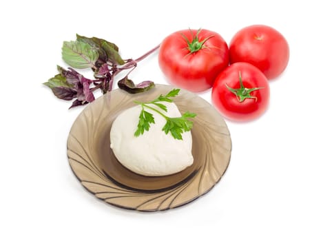 Ball of the fresh soaked mozzarella cheese on the dark glass saucer, tomatoes and twigs of parsley and purple basil on a light background
