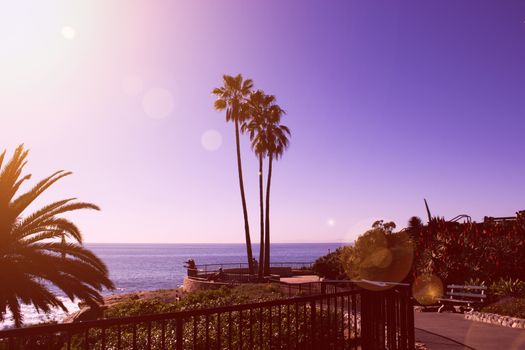 laguna beach coastal view, Los Angeles. Beautiful view of the coast