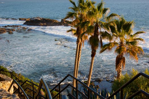 laguna beach coastal view, Los Angeles. Beautiful view of the coast. palm tree on background of ocean