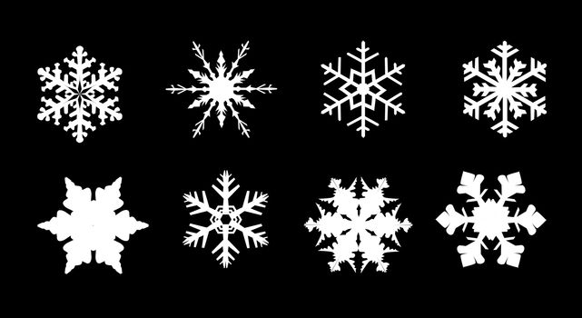 A collection of 8 different snowflakes isolated on a white background