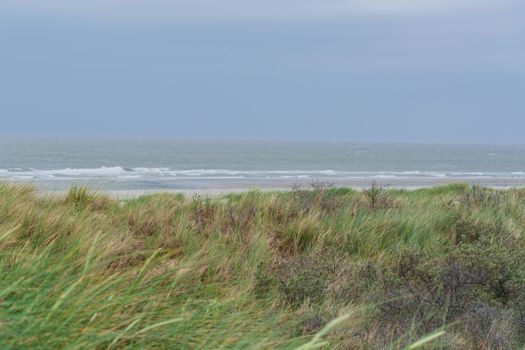Sea grass and dunes. In the background the stormy North Sea in Holland.