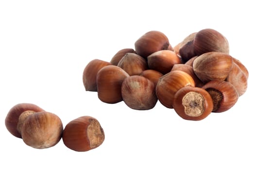 some hazelnuts placed over a white background