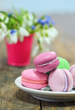 Colorful macaroons and spring flowers on wooden table