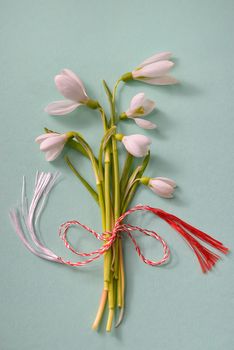 Beautiful bouquet of snowdrops isolated on paper