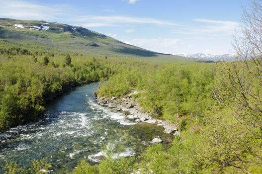 River flows through the wood in Abisko National Park, Swedish Lapland, Sweden, Europe