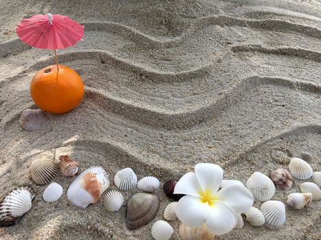 Background with seashells, flower frangipani on the sand. Summer vacation concept.