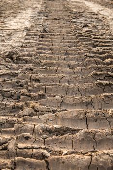 wheel tracks on dirt soil