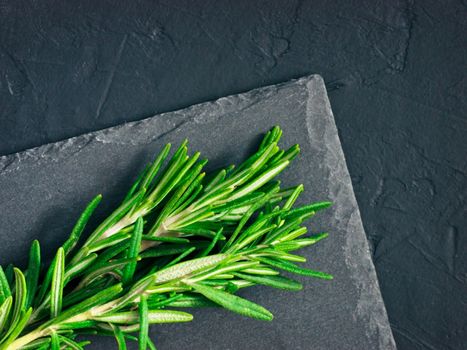 Fresh rosemary herbs on black background with copy space. Culinary healthy aromatic spicy herbs