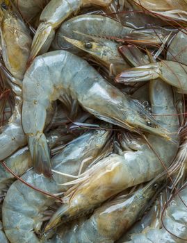 shrimp in the fresh market