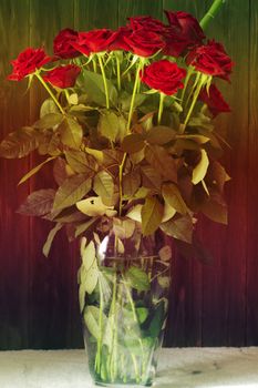 a bouquet of red roses in a vase. Floral background, greeting card image. Bouquet of red roses in glass vase.