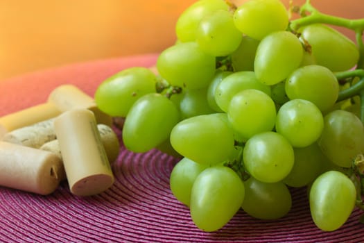 grape and corks on a table. bunch of white grapes and corks from wine bottles