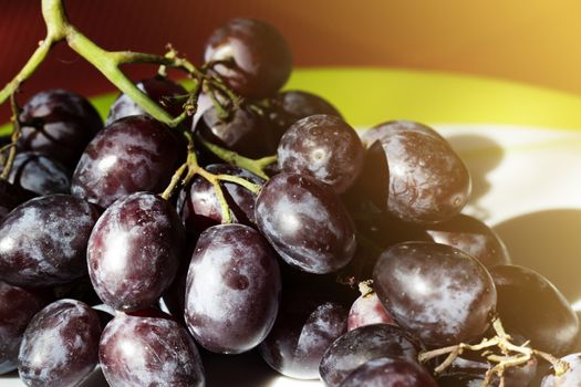 Bunch of black grapes on a plate. Bunch of black grapes on a white plate