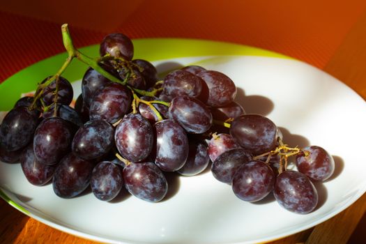 Bunch of black grapes on a plate. Bunch of black grapes on a white plate