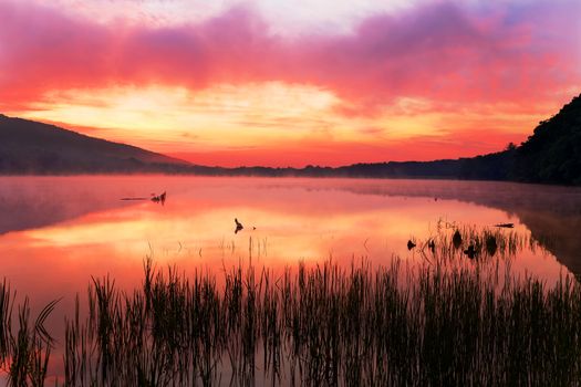 A misty sunrise at Locust Lake State Park, Schuylkill County, Pennsylvania, USA.