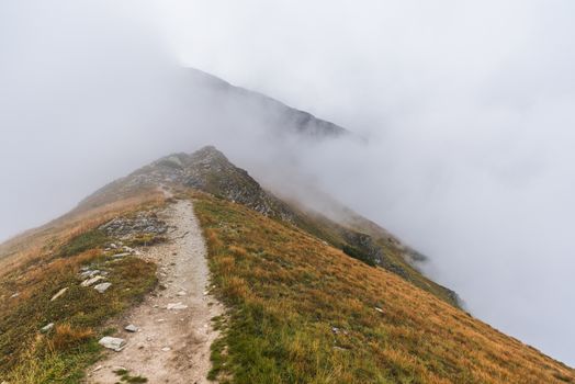 Hiking Trail on the Hill in the Mountains in the Mist