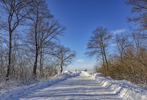 Empty snow covered road in winter landscape