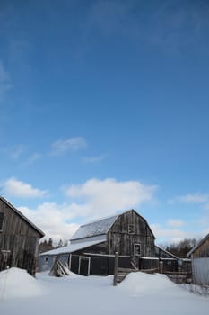 Blue sky and sunshine for this old farm buildings with weathered grey and black painted barn board.  Fresh, deep snow on the ground.