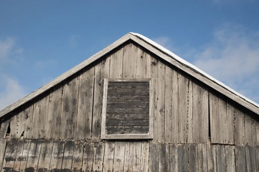 Blue sky and sunshine for this old farm building with weathered grey and black painted barn board. An old door or window is framed on the side. And woodpecker holes in the old distressed boards.