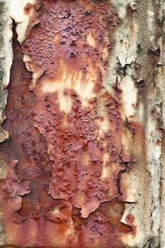 Detail of the flaking paint on rusted iron