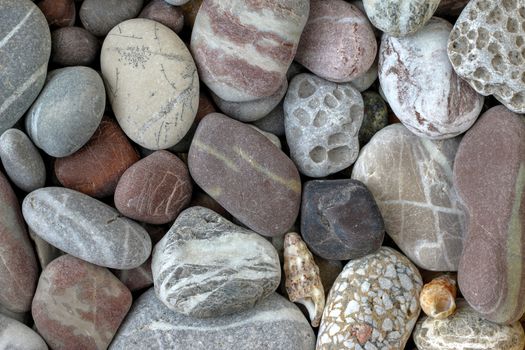 Stone texture - Pebble stones in earth colors