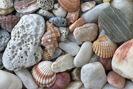 Detail of the various sea pebbles on the beach with shells