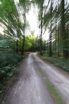 Abstract image - quickly on the forest road