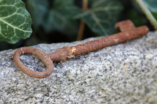 Detail of the lost old rusty key lying on the stone - shallow depth of field