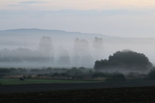 Rural landscape in the early morning fog