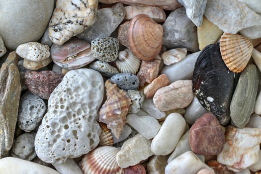 Detail of the minerals, pebble stones and shells