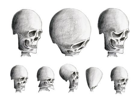 Hand drawing of the various human skulls - warning sign - design element