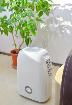 Portable dehumidifier colect water from air inside of living room