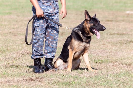 Soldiers from the K-9 dog unit works with his partner to during a demonstration Training