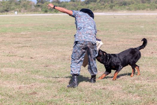 Soldiers from the K-9 dog unit works with his partner to during a demonstration Training