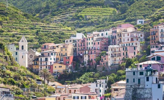 The village of Manarola of the Cinque Terre, on the Italian Riviera in the Liguria region of Italy