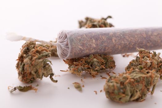 Close up of dried marijuana leaves and tied end of marijuana joint with translucent rolling paper on white background