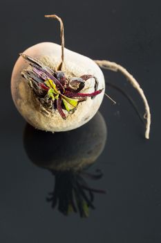 Three farm fresh whole raw beetroot in a close up view on a black surface in a healthy diet or vegetarian concept