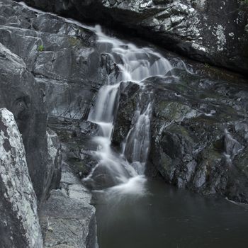 Cedar Creek waterfall in Mount Tambourine, Queensland.
