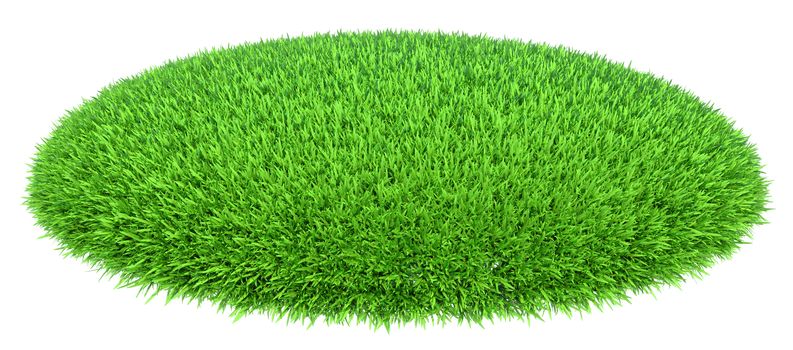 Grass arena isolated on white background, 3d rendering