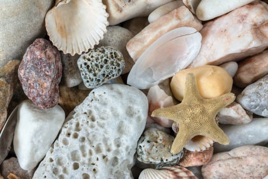 Detail of the various sea pebbles on the beach with shells