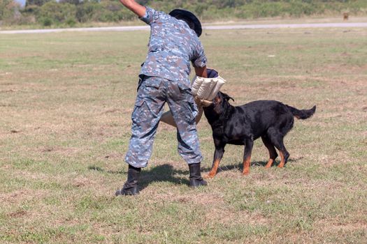 Soldiers from the K-9 dog unit works with his partner to during a demonstration Training