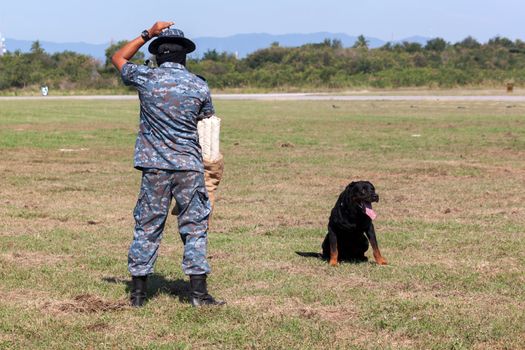 Soldiers from the K-9 dog unit works with his partner to during a demonstration Training