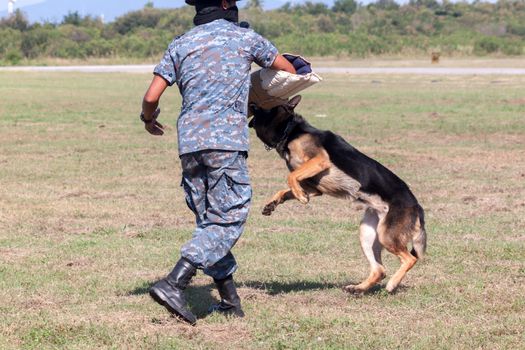 Soldiers from the K-9 dog unit works with his partner to during a demonstration Training