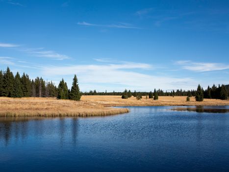 Dead pond is surrounded by woods approximately three kilometers northeast of Hrebecna. By the dark color of the water caused by the surrounding peat is sometimes called the Black Pond. The Ore Mountains, Czech republic.