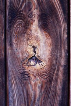 Detail of the knot in wood - rough wooden texture