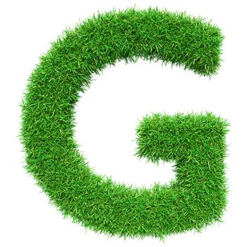 Green Grass Letter G. Isolated On White Background. Font For Your Design. 3D Illustration