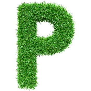 Green Grass Letter P. Isolated On White Background. Font For Your Design. 3D Illustration